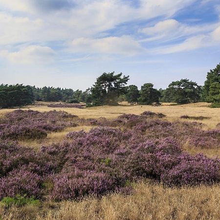 Chalet Op De Veluwe # Berk Putten Exteriör bild
