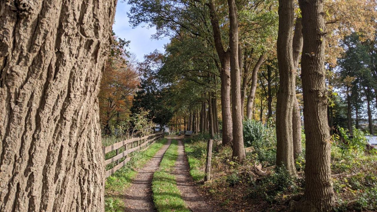 Chalet Op De Veluwe # Berk Putten Exteriör bild