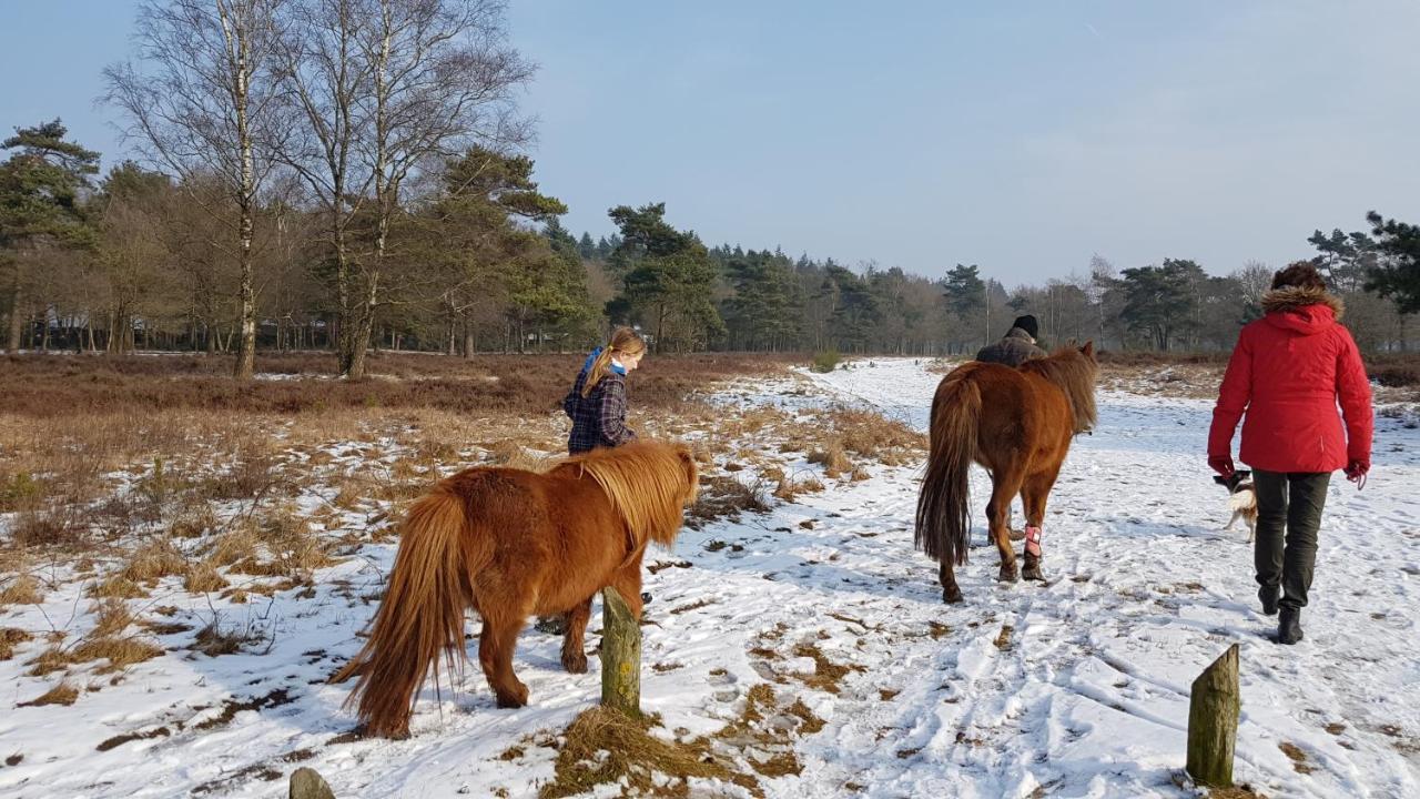 Chalet Op De Veluwe # Berk Putten Exteriör bild