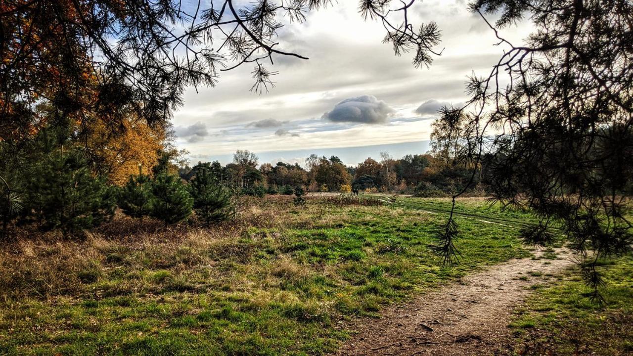 Chalet Op De Veluwe # Berk Putten Exteriör bild