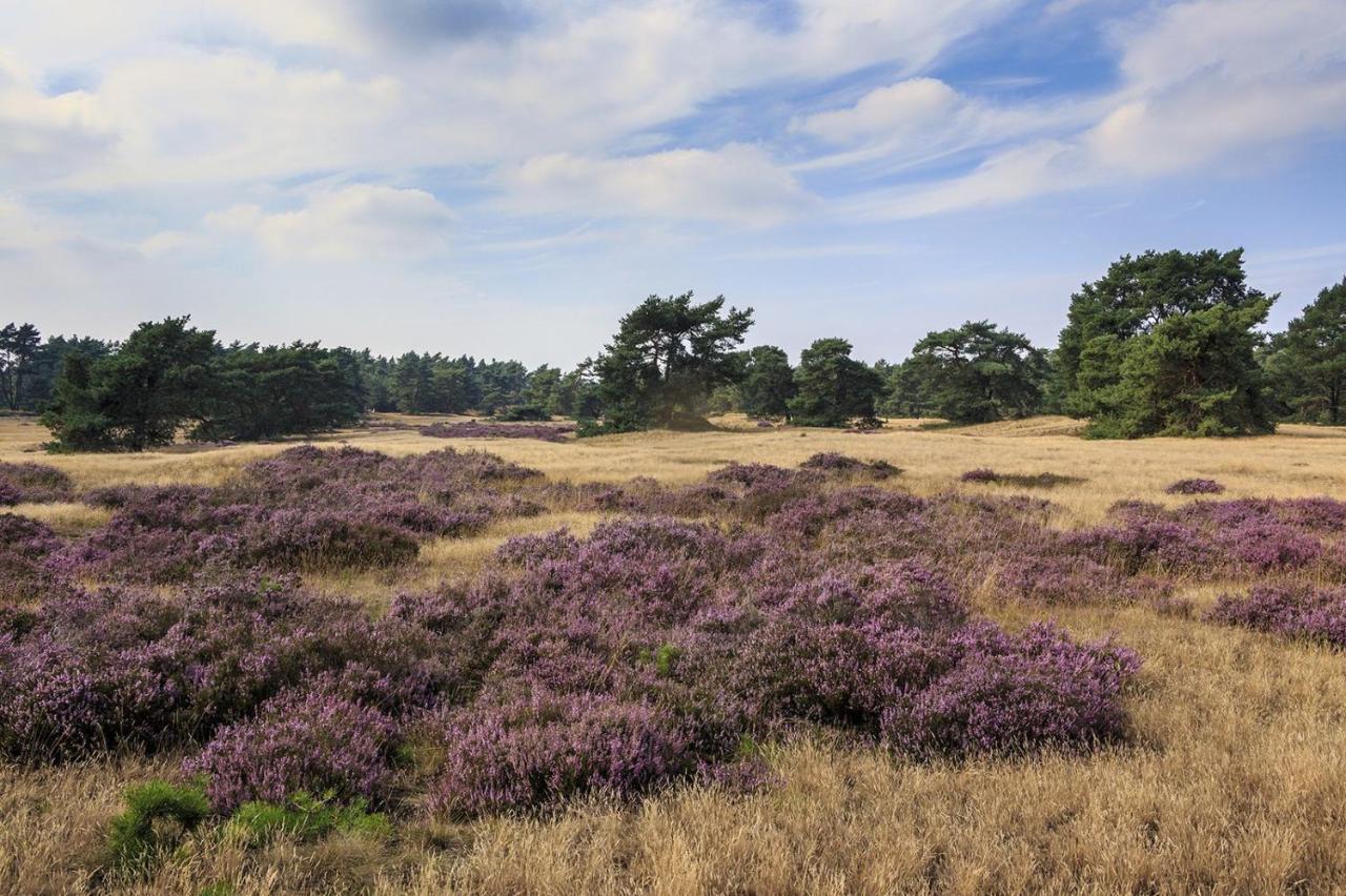 Chalet Op De Veluwe # Berk Putten Exteriör bild