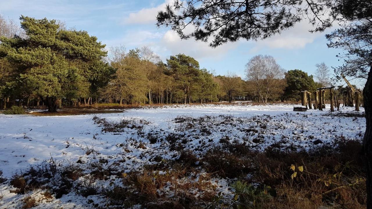 Chalet Op De Veluwe # Berk Putten Exteriör bild