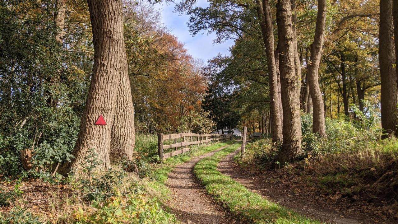 Chalet Op De Veluwe # Berk Putten Exteriör bild